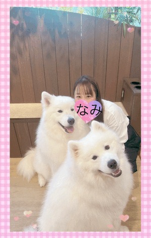 ありがとうーなみ