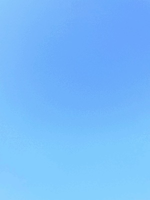 ごめんなさい