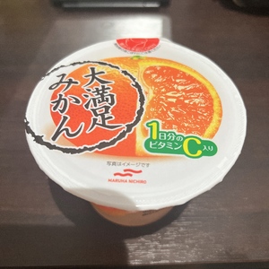 エル日記