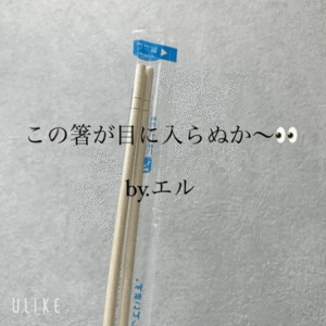 エル日記