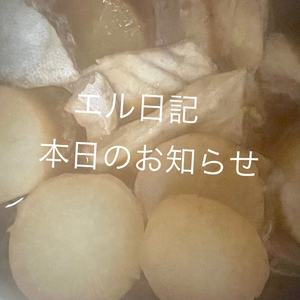 エル日記