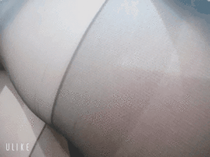 エル日記