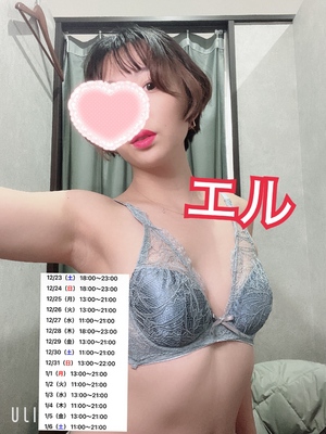 エル日記