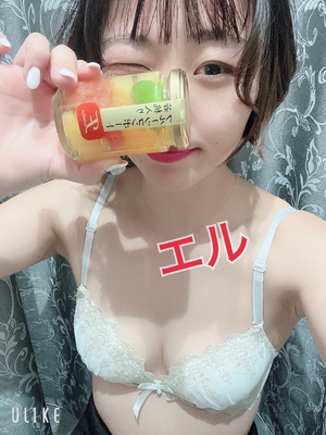 エル日記