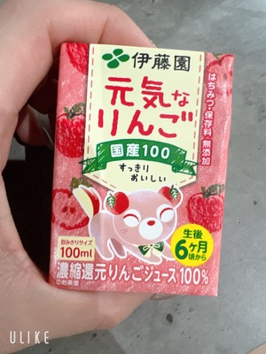 エル日記