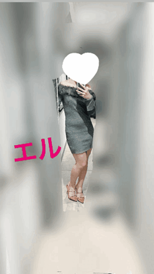 エル日記