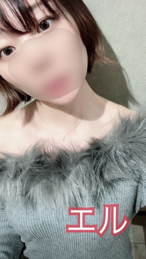 エル日記