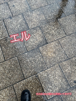 エル日記