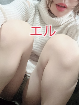 エル日記