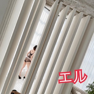 エル日記