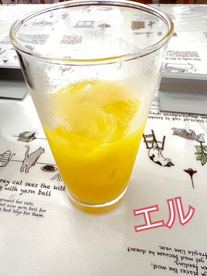 エル日記