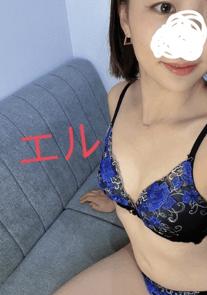 エル日記
