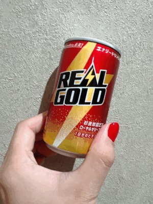 エル日記