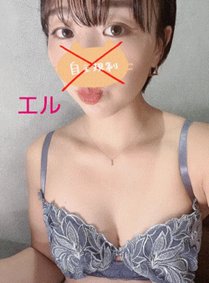 エル日記