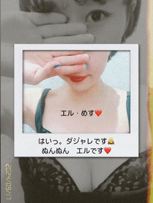 エル日記