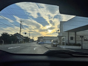 エル日記