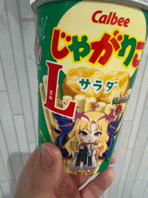 エル日記