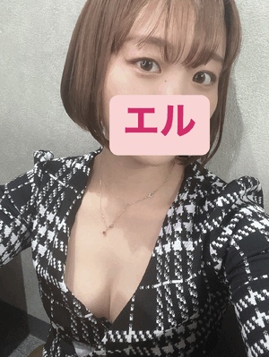 エル日記