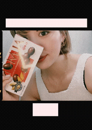 エル日記
