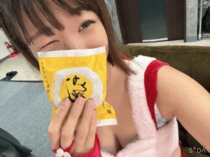 エル日記