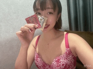 エル日記