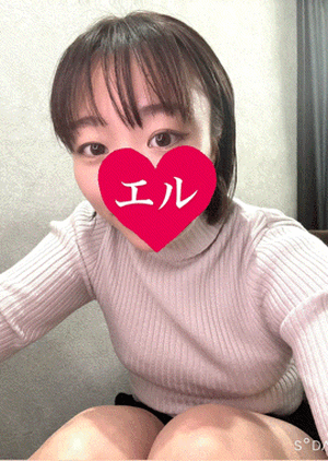 エル日記