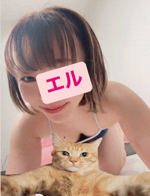 エル日記