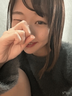 エル日記