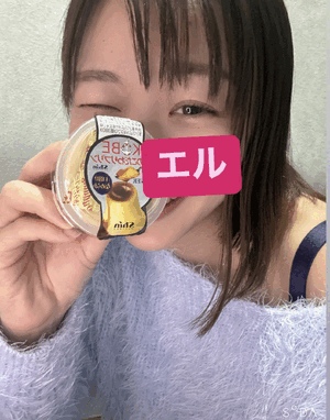 エル日記