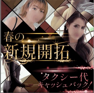 エル日記