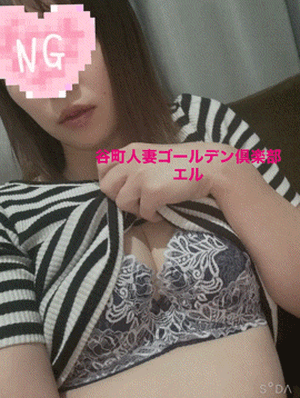 エル日記