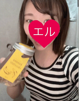 エル日記