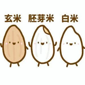エル日記