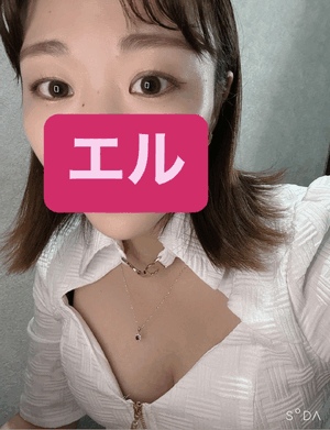 エル日記