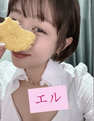 エル日記