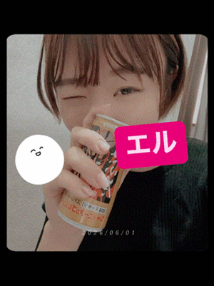 エル日記