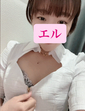 エル日記