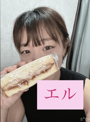 エル日記