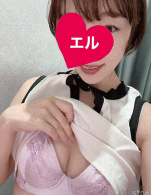 エル日記