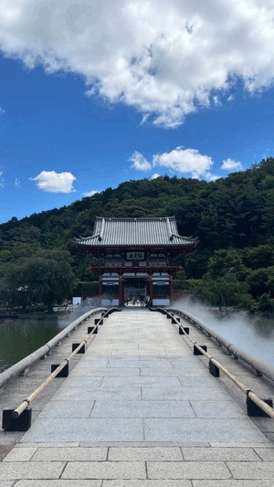 エル日記