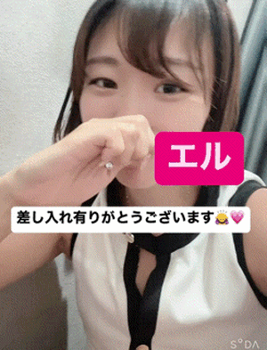 エル日記