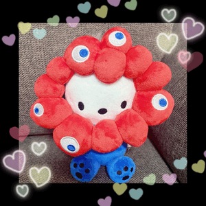 ソラです！