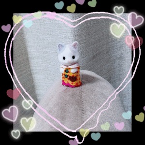 ソラです！