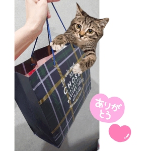 お礼