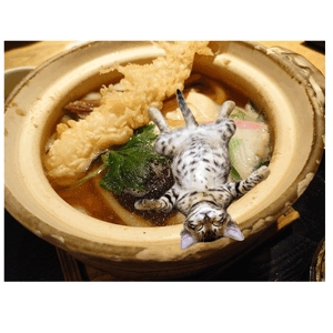 おやすみ