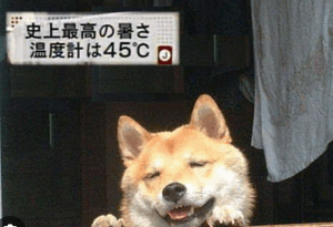 今日も