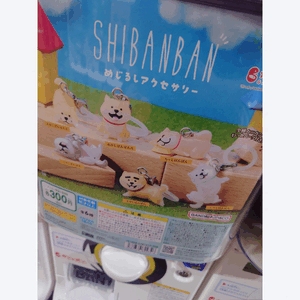 3連休の…！