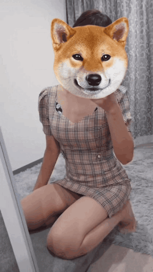 先日のお礼