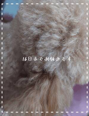 お休み中