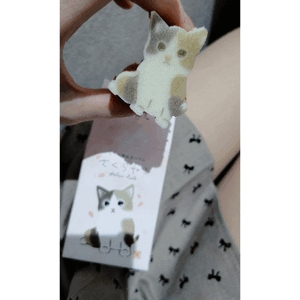 初めての型ぬき